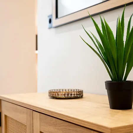 Mt Apartment