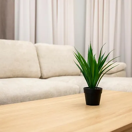 Apartment Mt *